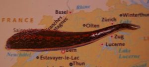 Swiss leech anyone?