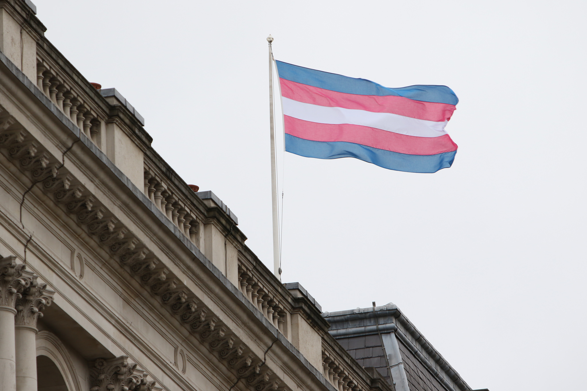 Joint Statement Of Trans Solidarity In Feminist Tax Justice Advocacy