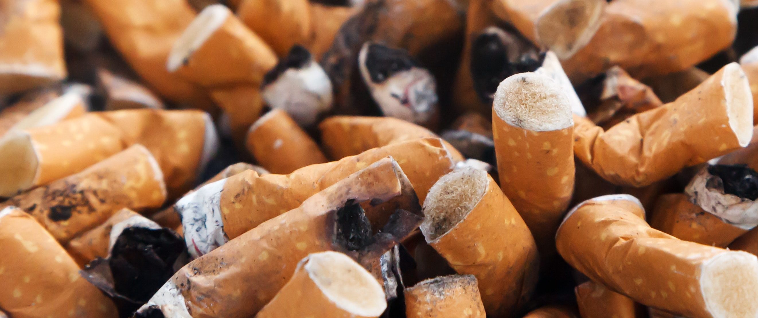 ashtray full of cigarette buds