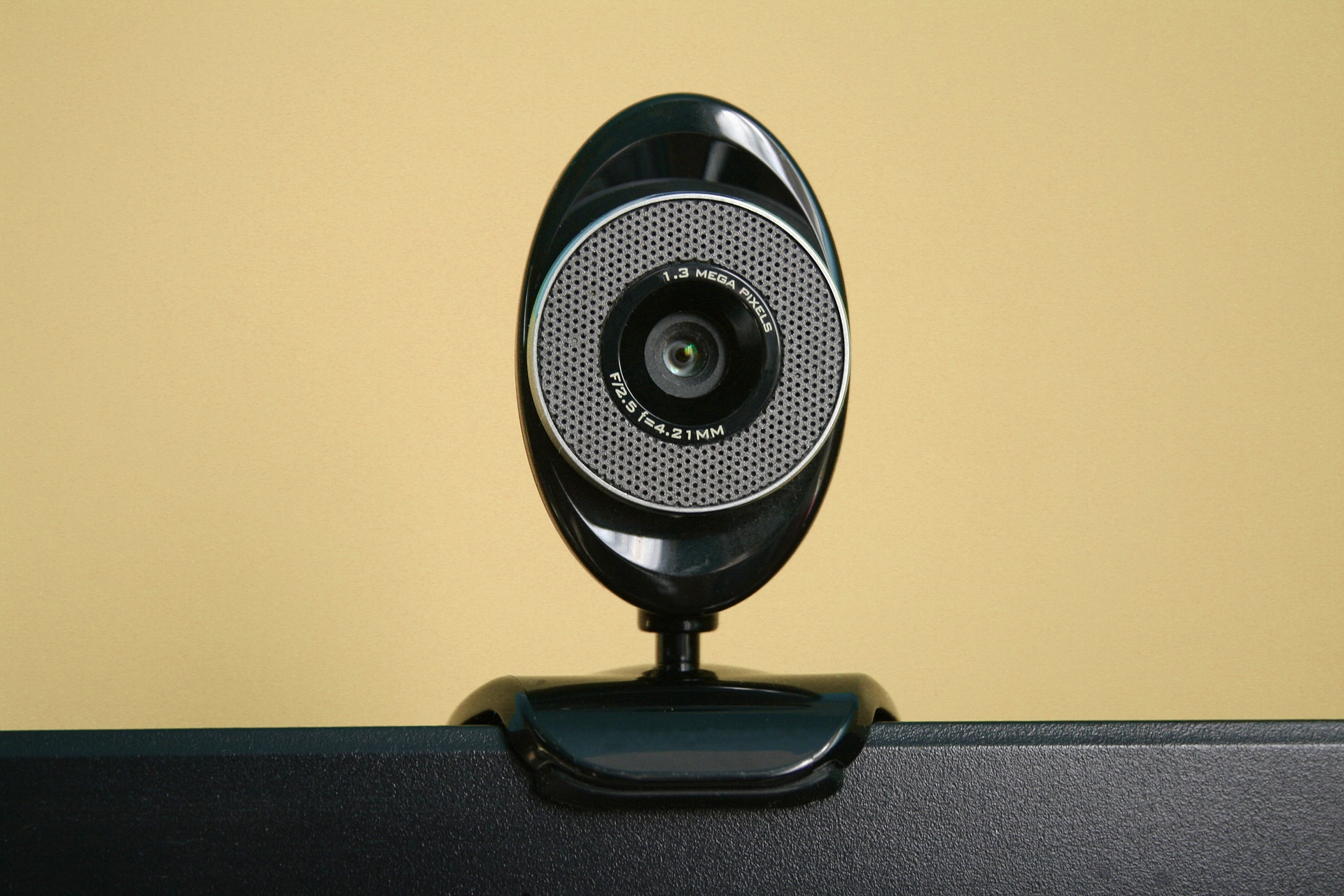 An oval shaped black web camera