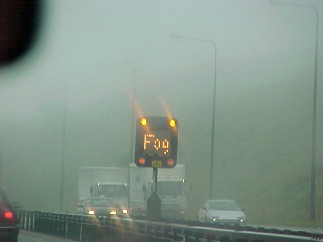 Fog