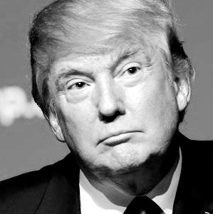 Donald_Trump_August_19,_2015_(cropped)