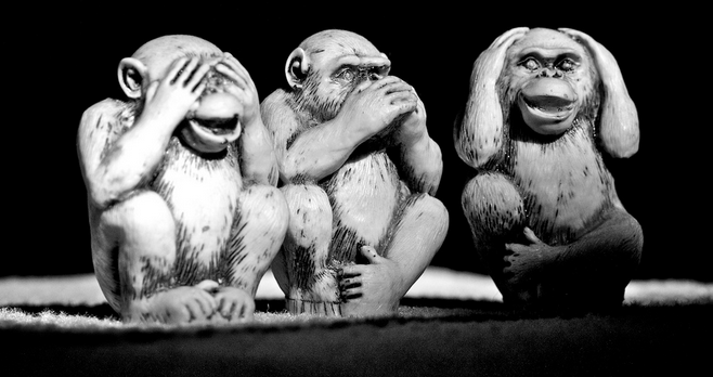 Monkeys