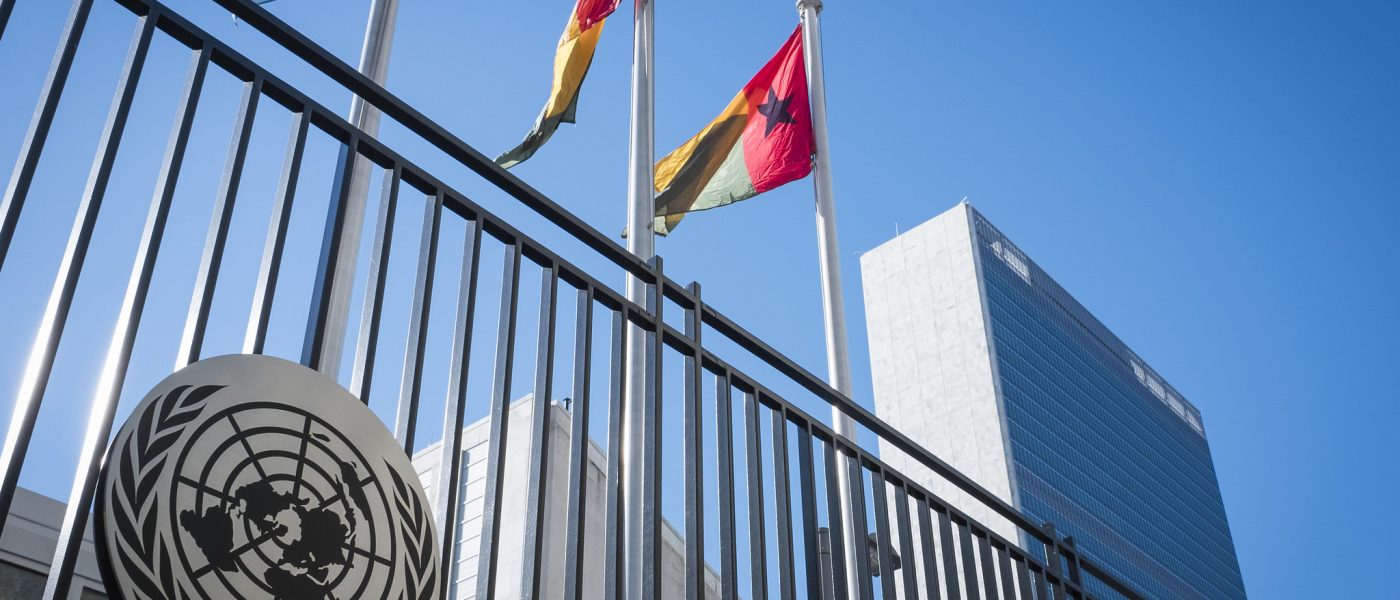 un gate flags © United Nations Photo