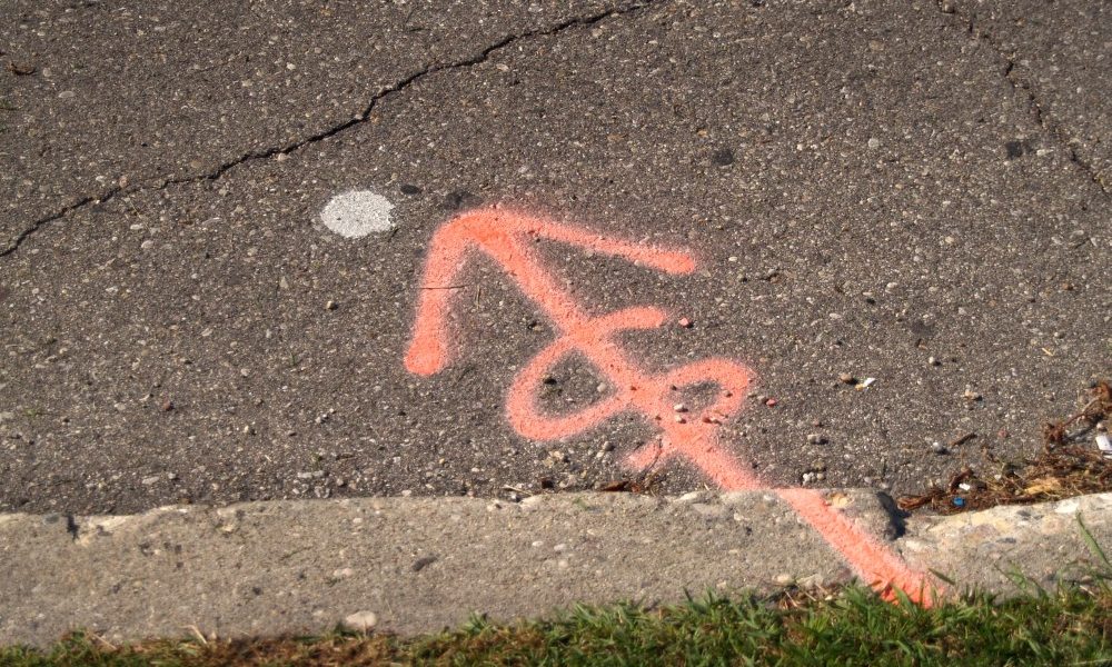 Dollarsign