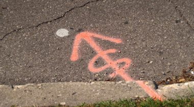 Dollarsign
