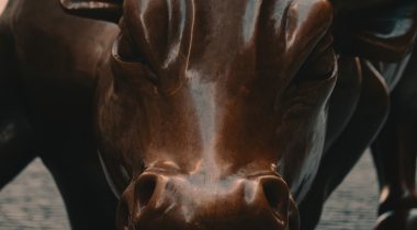 bull wall street stock market_crop Close up of Wall Street Bull statue