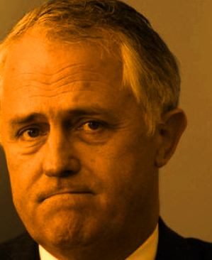 malcolm turnbull
